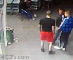 giphy (18).gif