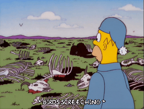 giphy-19.gif