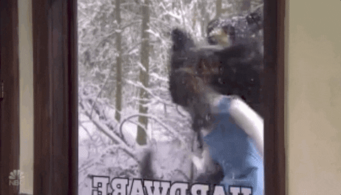 giphy-19.gif