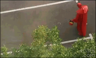 giphy (2).gif