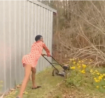 giphy (2).gif