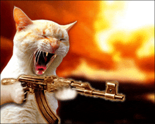 giphy (2).gif