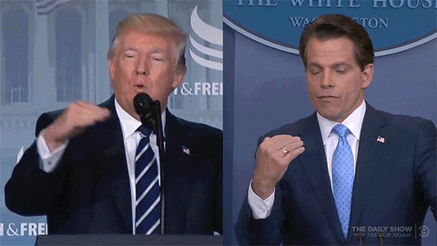 giphy (20).gif