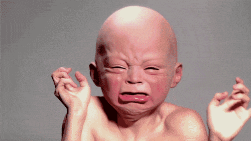 giphy (21).gif
