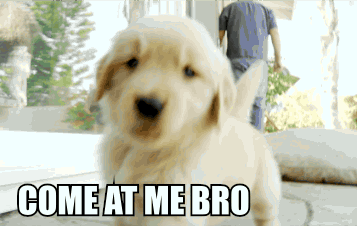 giphy-21.gif