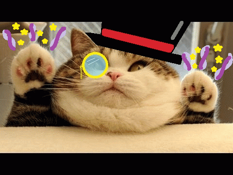 giphy (21).gif