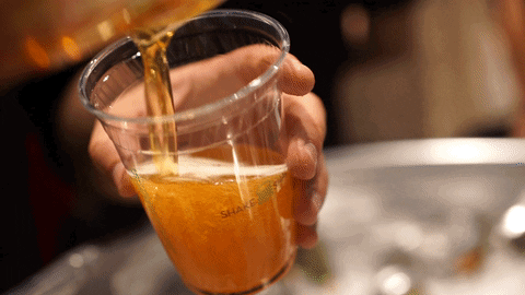 giphy-21.gif