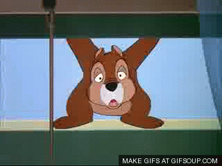 giphy-24.gif