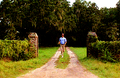 giphy (26).gif