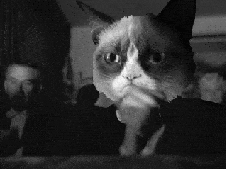 giphy (26).gif