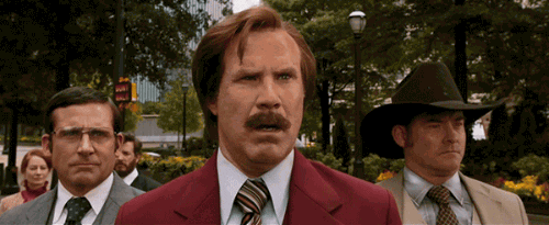 giphy (28).gif