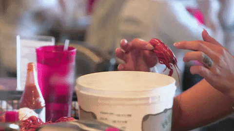 giphy (28).gif