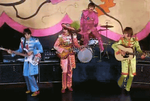 giphy (3).gif