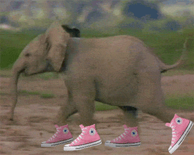 giphy-3.gif