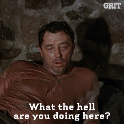 giphy-31.gif
