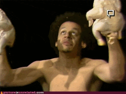 giphy (33).gif