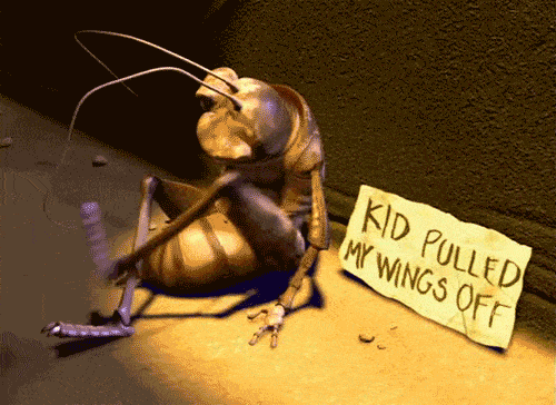 giphy (33).gif