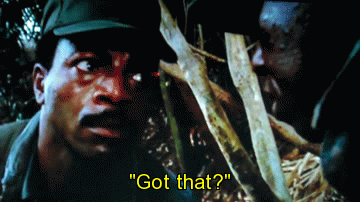 giphy (4).gif