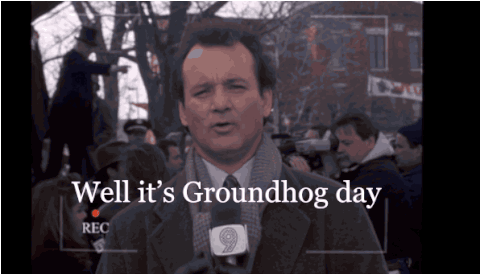 giphy (4).gif