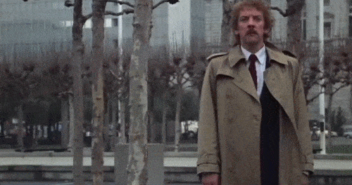 giphy (4).gif