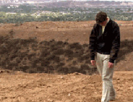 giphy (40).gif