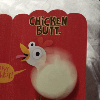 giphy-42.gif