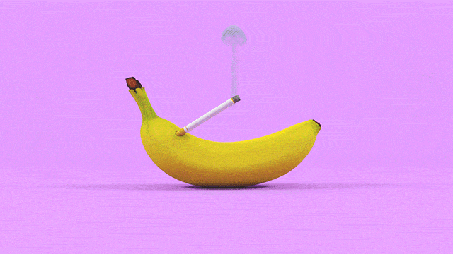 giphy (43).gif