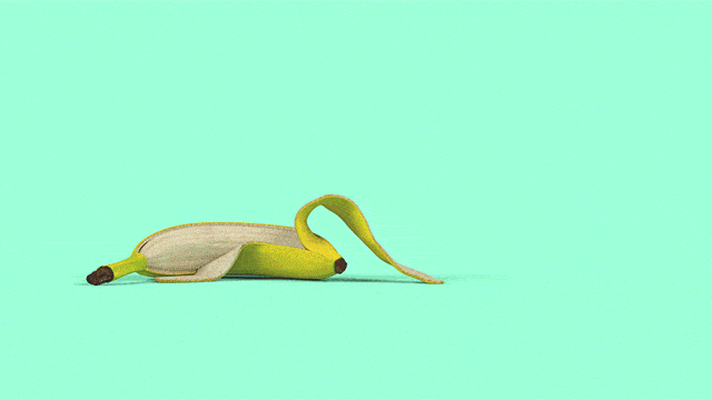 giphy (44).gif