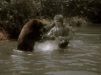 giphy (45).gif
