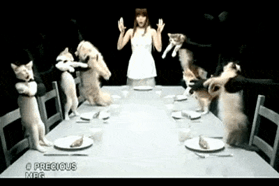 giphy (46).gif