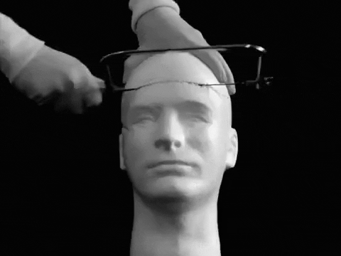 giphy (5).gif