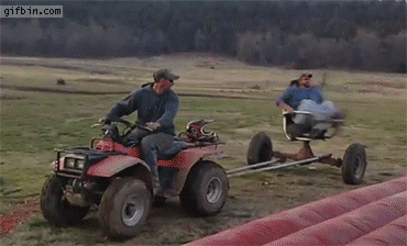 giphy-50.gif