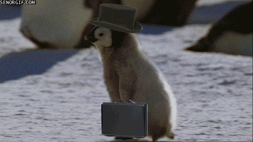 giphy-58.gif