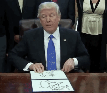 giphy-6.gif