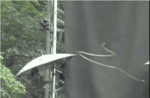 giphy (8).gif