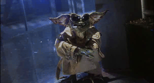 giphy-8.gif