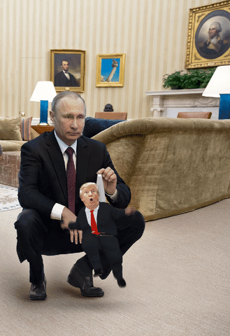 giphy (8).gif