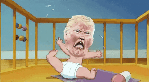 giphy (9).gif