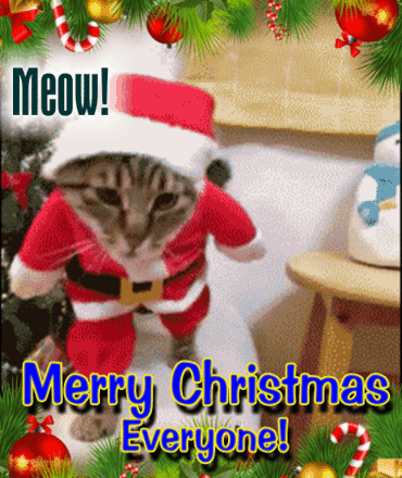 giphy.gif