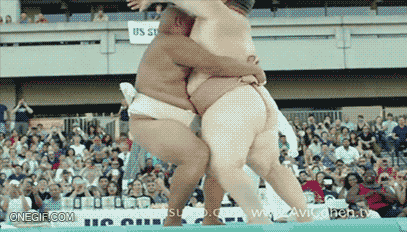 giphy.gif