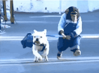 giphy.gif