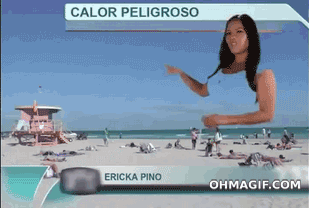giphy2.gif