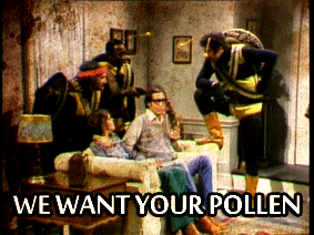 giphy2.gif