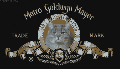 giphyyawngif.gif