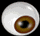 GlassEye.gif