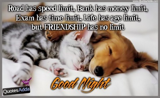 good-night-quotes-funny-4.jpg