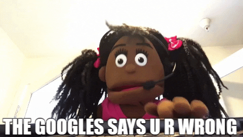 googles say youre wrong.gif