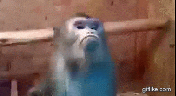 gqq.gif