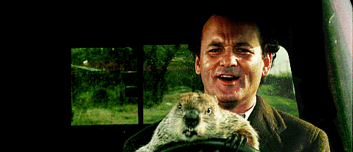 groundhog.gif