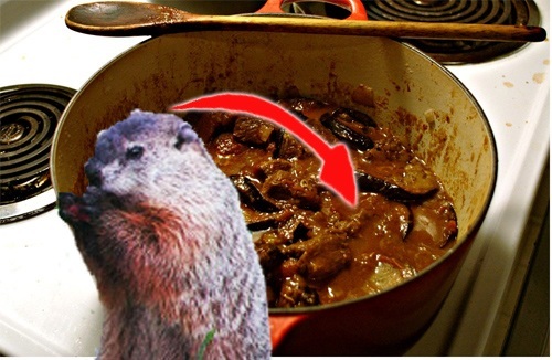 groundhog_in_stew.jpg